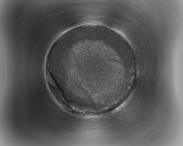 X0000088031038200706081457