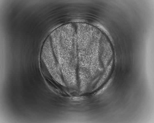 X0000088031041200706081457