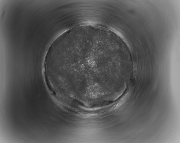 X0000088031042200706081457