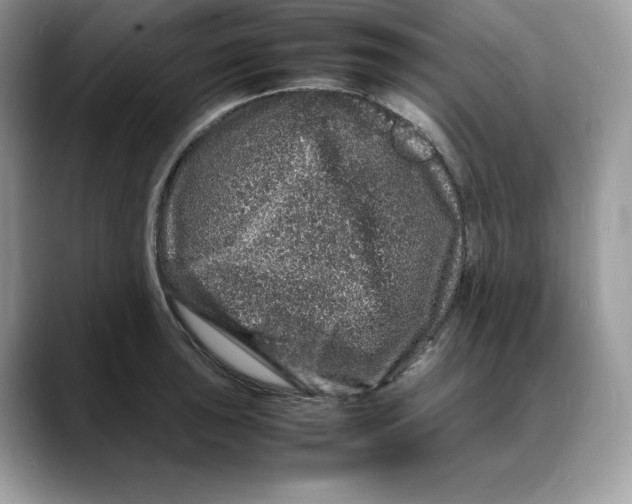 X0000088031043200706081457