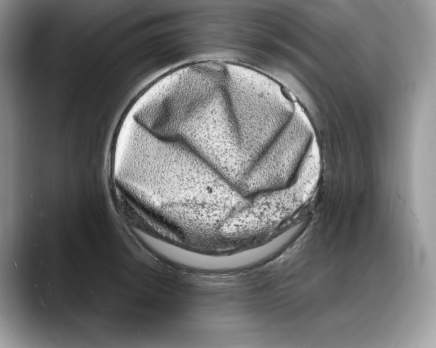 X0000088031044200706081457