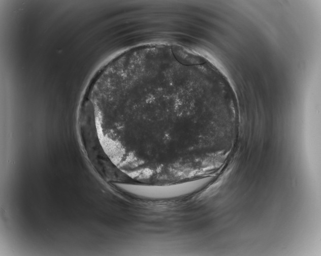 X0000088031045200706081457