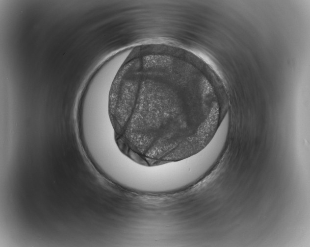 X0000088031046200706081457