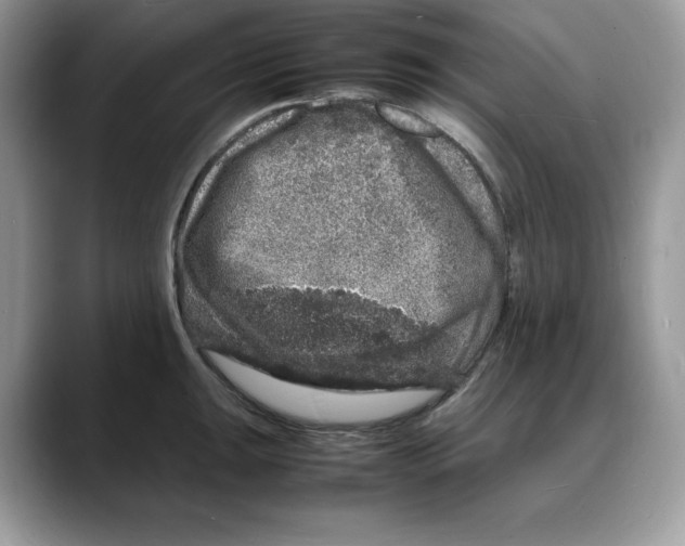 X0000088031047200706081457