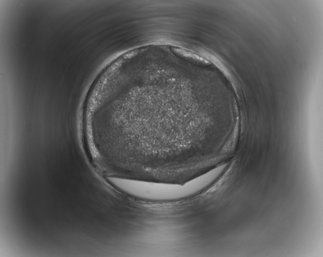 X0000088031048200706081457