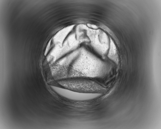X0000088031049200706081457