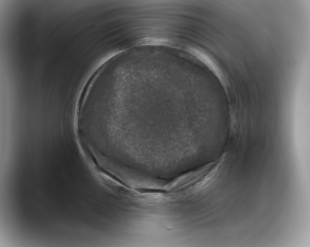 X0000088031050200706081457