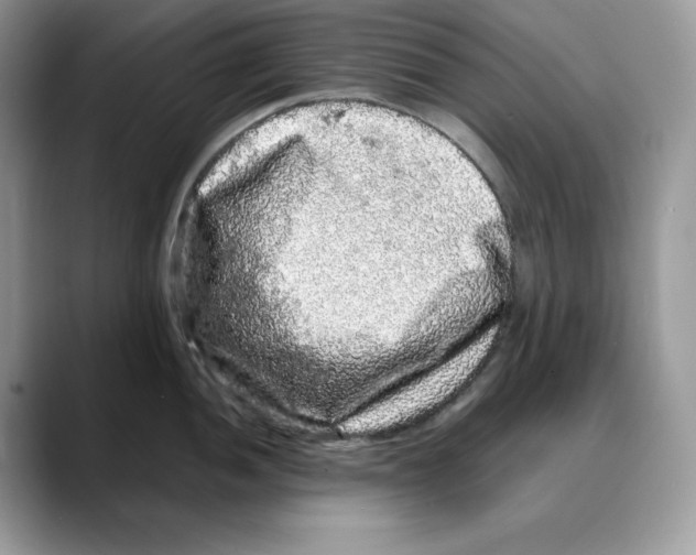 X0000088031052200706081457