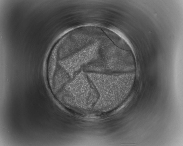 X0000088031053200706081457