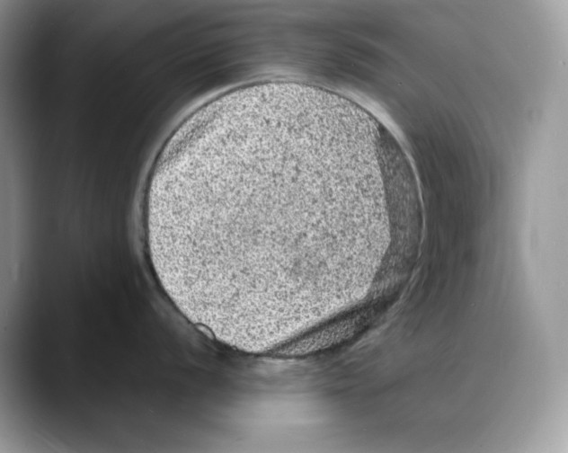 X0000088031056200706081457