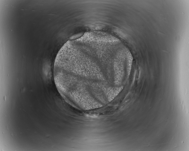 X0000088031058200706081457
