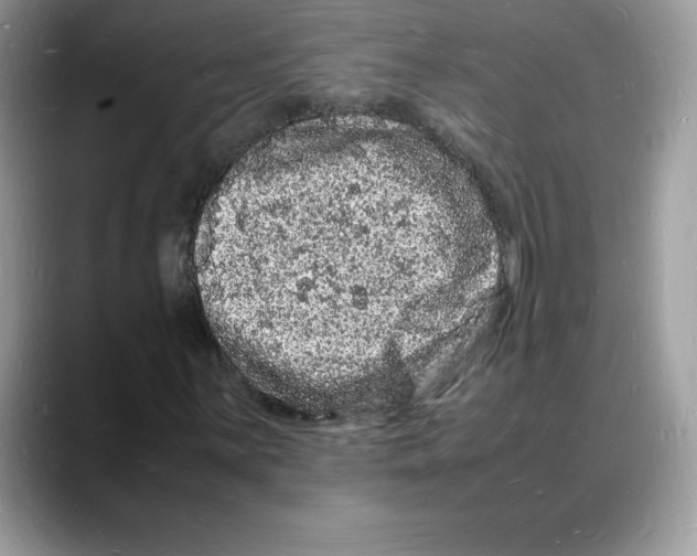 X0000088031059200706081457