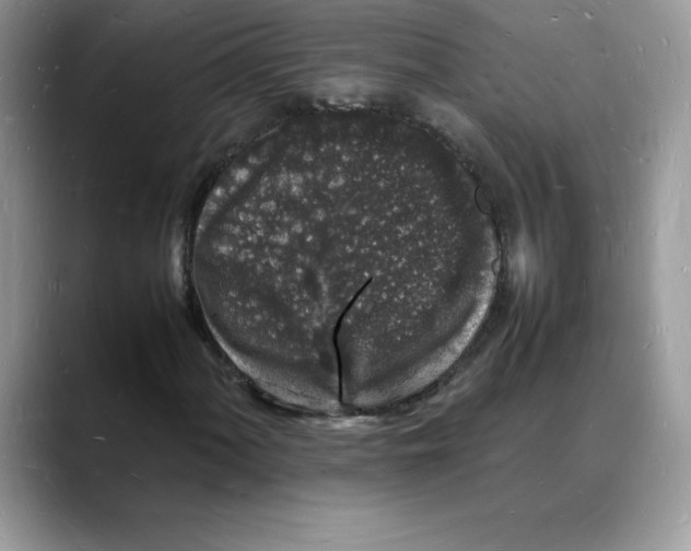 X0000088031060200706081457