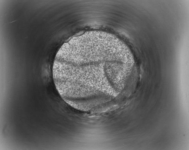 X0000088031062200706081457