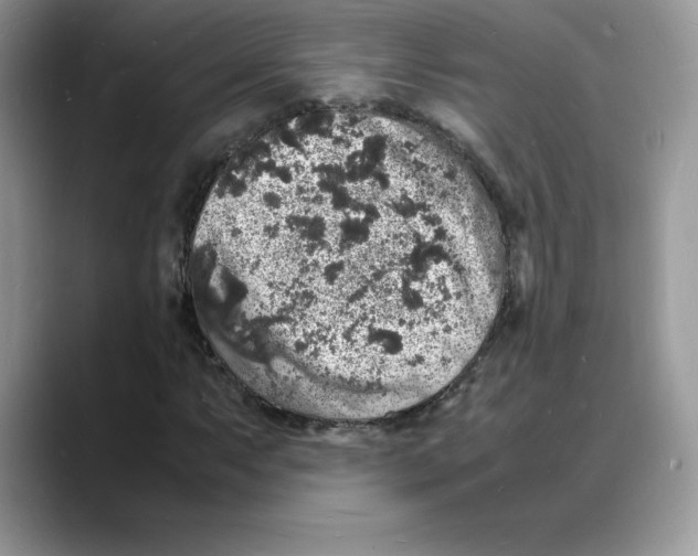 X0000088031063200706081457