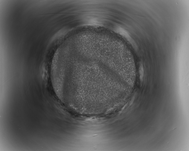 X0000088031064200706081457