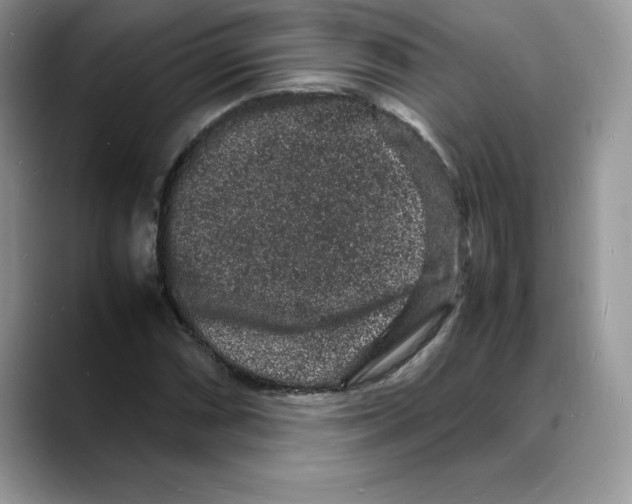 X0000088031066200706081457