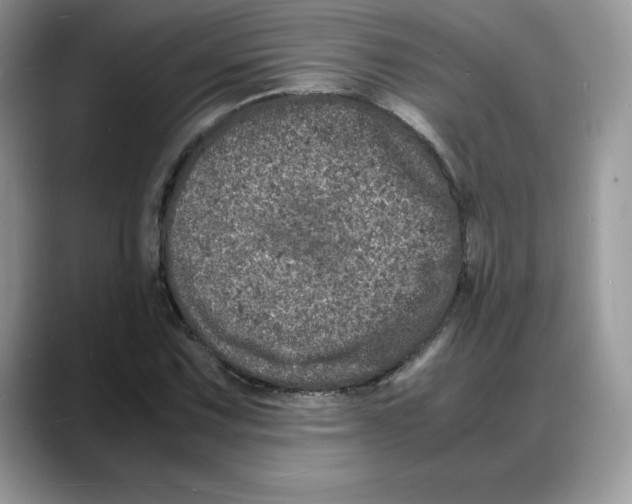 X0000088031067200706081457
