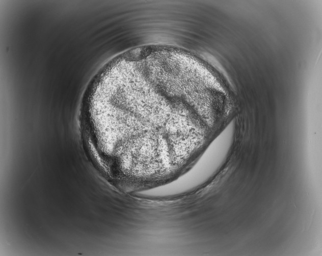 X0000088031068200706081457