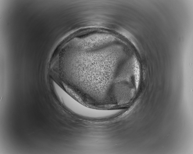X0000088031069200706081457
