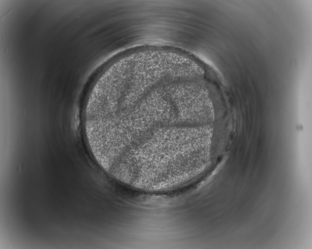 X0000088031070200706081457