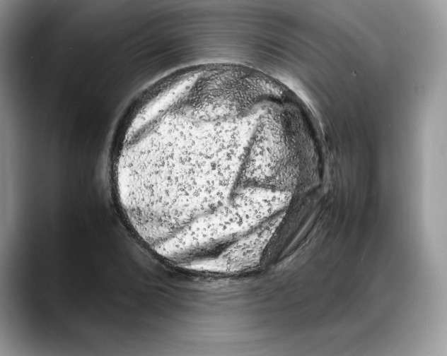 X0000088031072200706081457