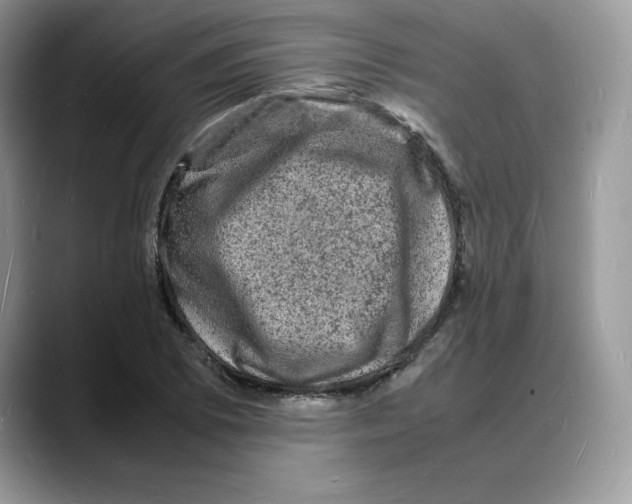 X0000088031073200706081457
