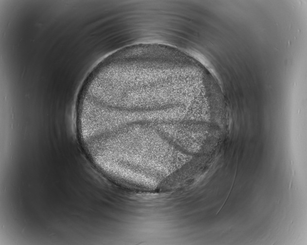 X0000088031076200706081457