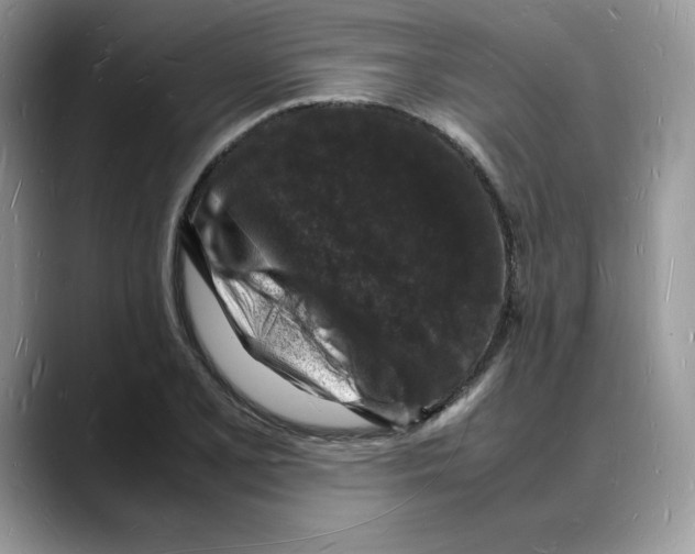 X0000088031077200706081457