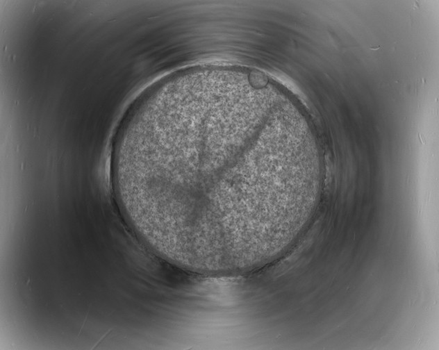 X0000088031078200706081457