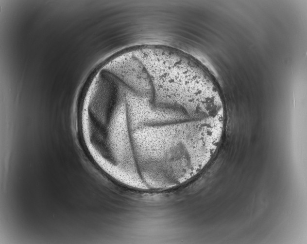 X0000088031080200706081457
