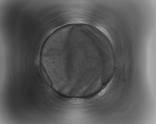 X0000088031081200706081456