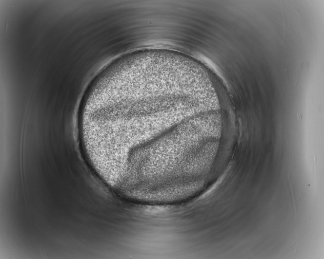 X0000088031082200706081456
