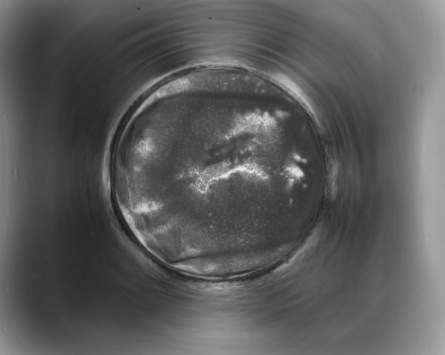 X0000088031084200706081456