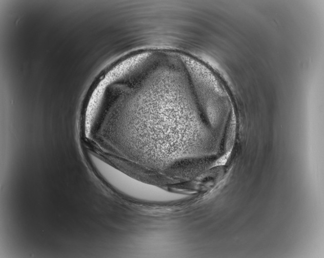 X0000088031085200706081456