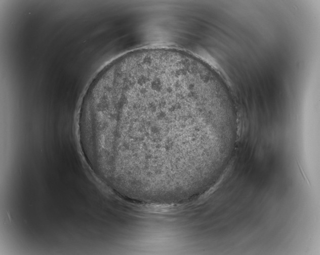 X0000088031086200706081456