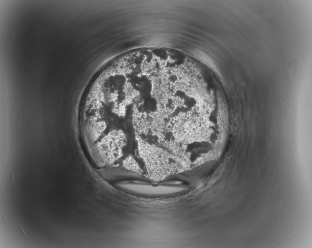 X0000088031087200706081456