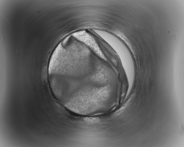 X0000088031089200706081456