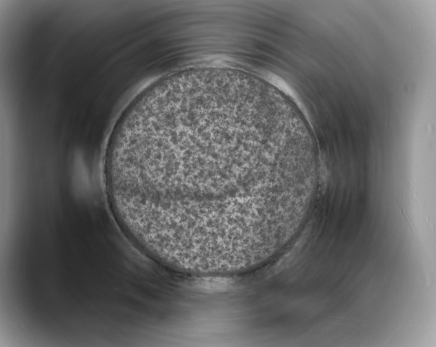 X0000088031090200706081456