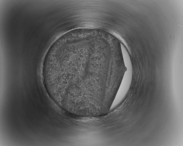 X0000088031091200706081456