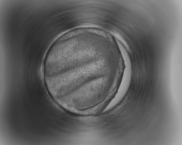 X0000088031092200706081456