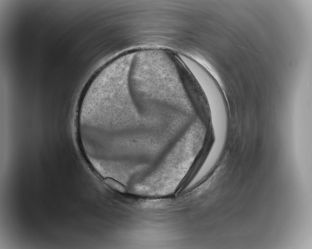 X0000088031093200706081456