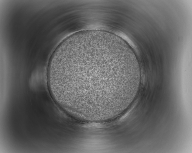 X0000088031094200706081456