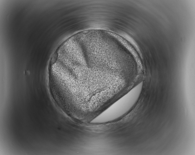 X0000088031096200706081456