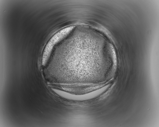 X0000088031097200706081456