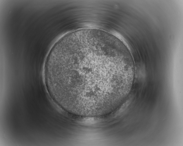 X0000088031098200706081456