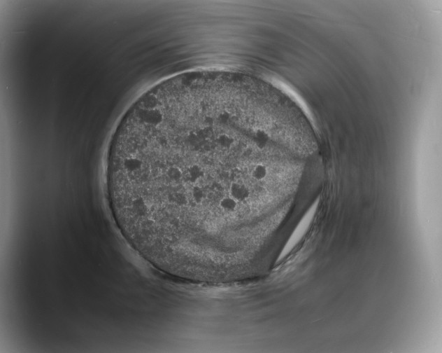 X0000088031099200706081456