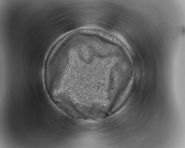 X0000088031100200706081456