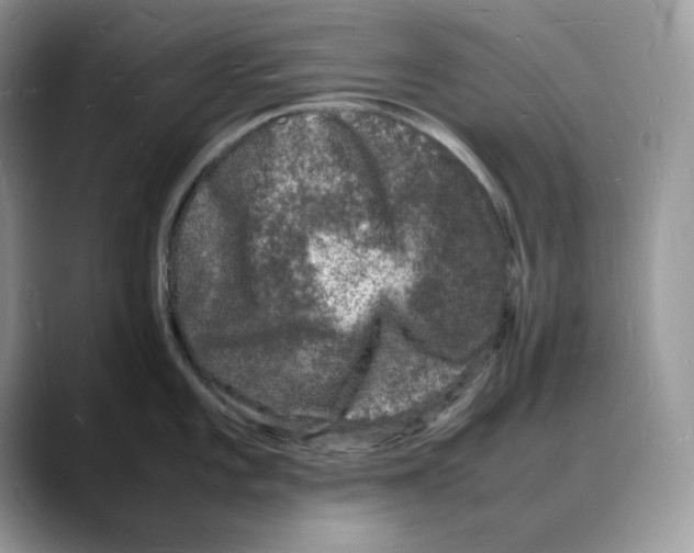 X0000088031101200706081456