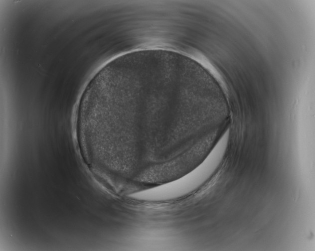 X0000088031102200706081456